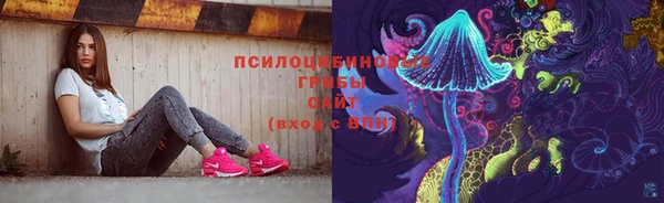 гашик Баксан