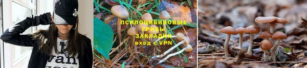 ALPHA PVP Балабаново