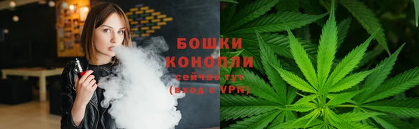 дживик Балахна