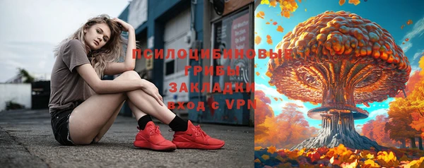 гашик Баксан