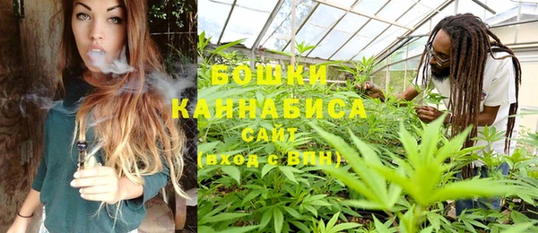 дживик Балахна