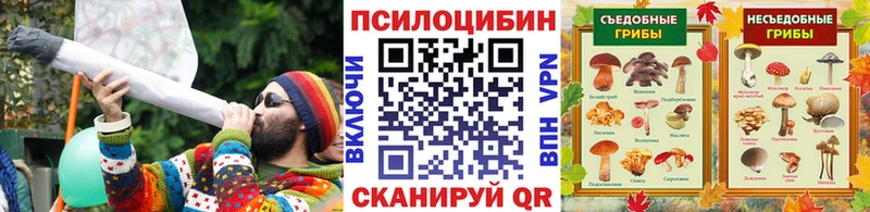 kraken зеркало  Калтан  Псилоцибиновые грибы Psilocybine cubensis 